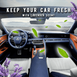 Car Interior Cleaner