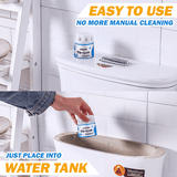 AutoStorm�6¾4 Auto Toilet Cleaner
