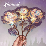 Galaxy Shinny Love Rose
