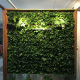 Vertical Hanging Growing Bag