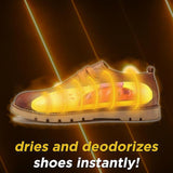 Electric Shoe Dryer